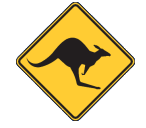 Trayning Skippycoin ICG